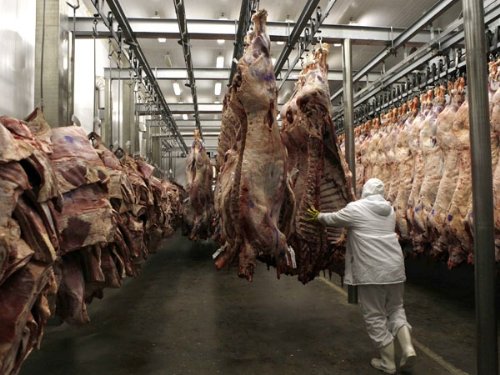 Fuerte caída de las exportaciones de carne en el primer trimestre del año