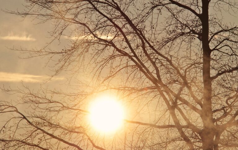 Clima en CABA: neblinas matinales y hasta 15°C hoy
