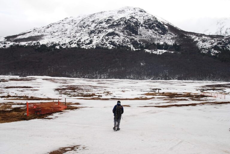 Ushuaia: kirchnerismo frena venta de tierras ociosas del Estado