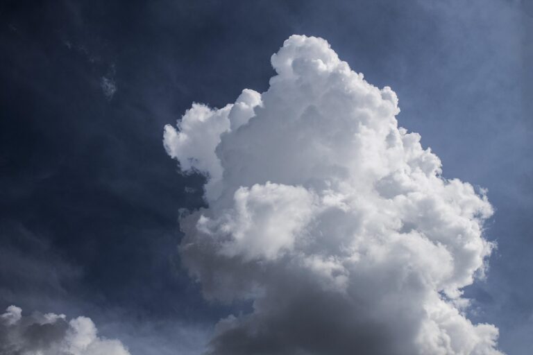 Clima en Buenos Aires: mañana fresca, tarde templada