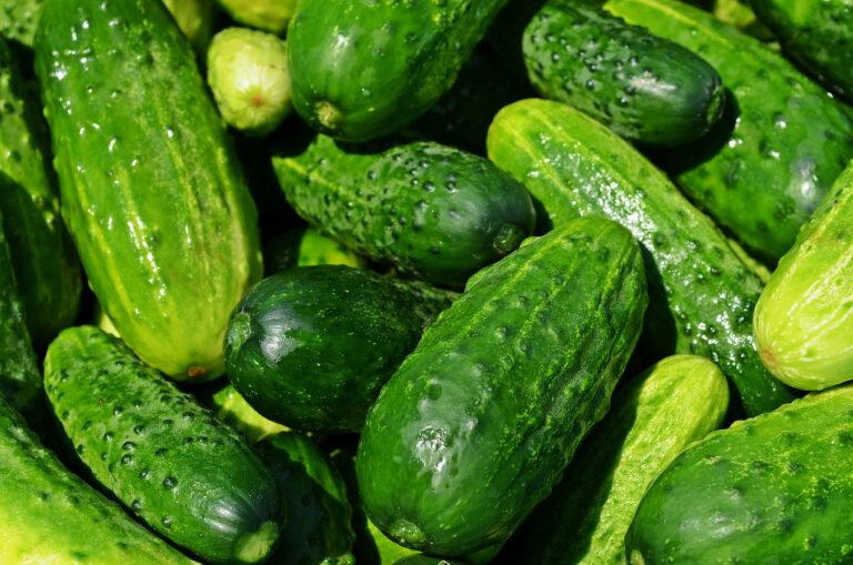 Inflación en el GBA: los rubros que más subieron en 2026